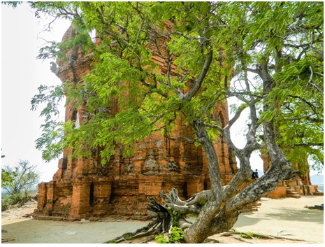 Tháp Po Klong Garai đậm nét Chăm ở Ninh Thuận